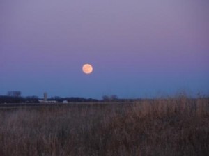 Moon rising over farm