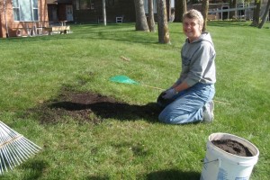 seeding the lawn